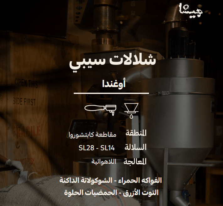 قهوة اوغندا شلالات سيبي 250 جرام محمصة جيشا
