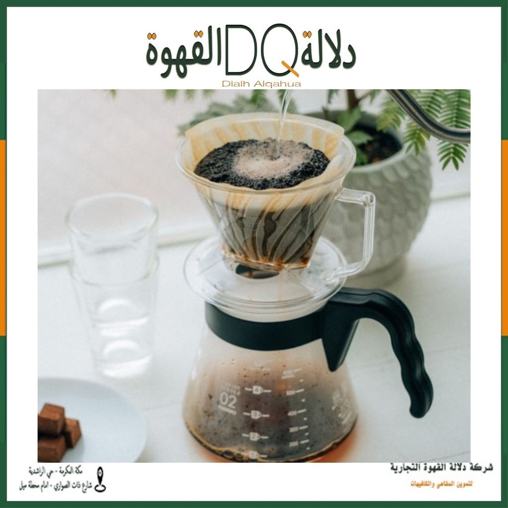 هاريو قمع الترشيح بيغاسوس حجم 02