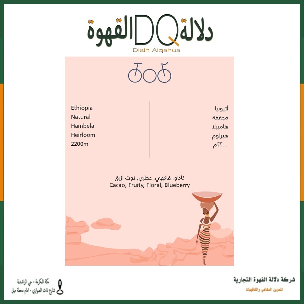 قهوة اثيوبيا هامبيلا مجففة 1 كيلو محمصة ترايسكل