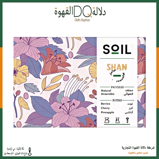 [5100] قهوة ميانمار شان 250 جرام محمصة سويل