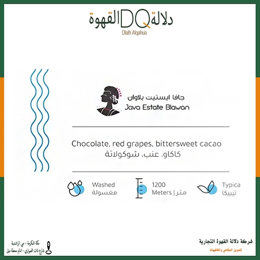 [5591] قهوة جافا ايستيت بلاوان 227 جرام محمصة بيت التحميص