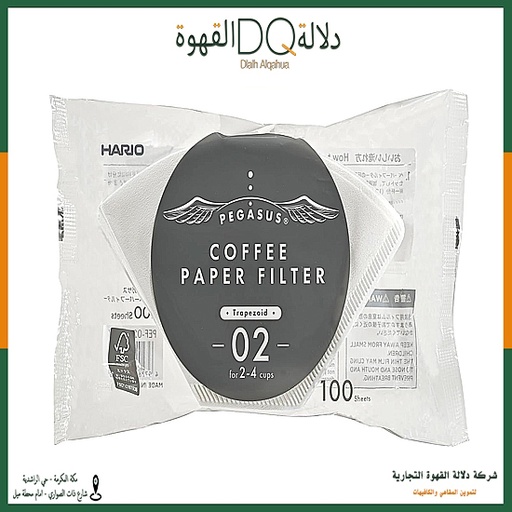 [4171] فلاتر بيغاسوس الورقية من هاريو - حجم 02