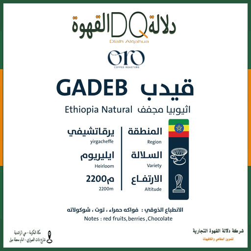 [5818] قهوة قيدب - اثيوبيا 1 كيلو محمصة اورو