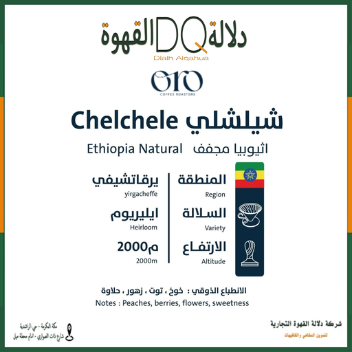 [5819] قهوة شيلشلي اثيوبيا 250 جرام محمصة اورو