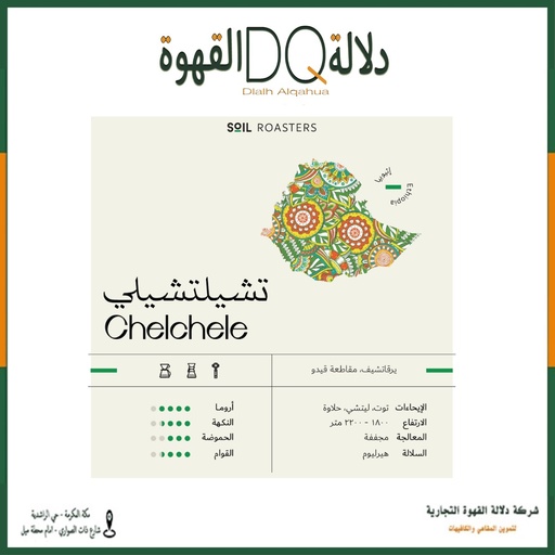 [5900] قهوة شيلشلي اثيوبيا 1 كيلو محمصة سويل