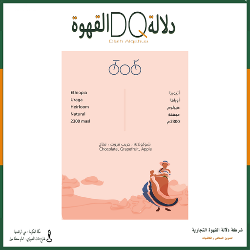[6161] قهوة اثيوبيا اوراقا 80 جرام محمصة ترايسكل